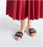 Dioramour Dway Slide - Image 6